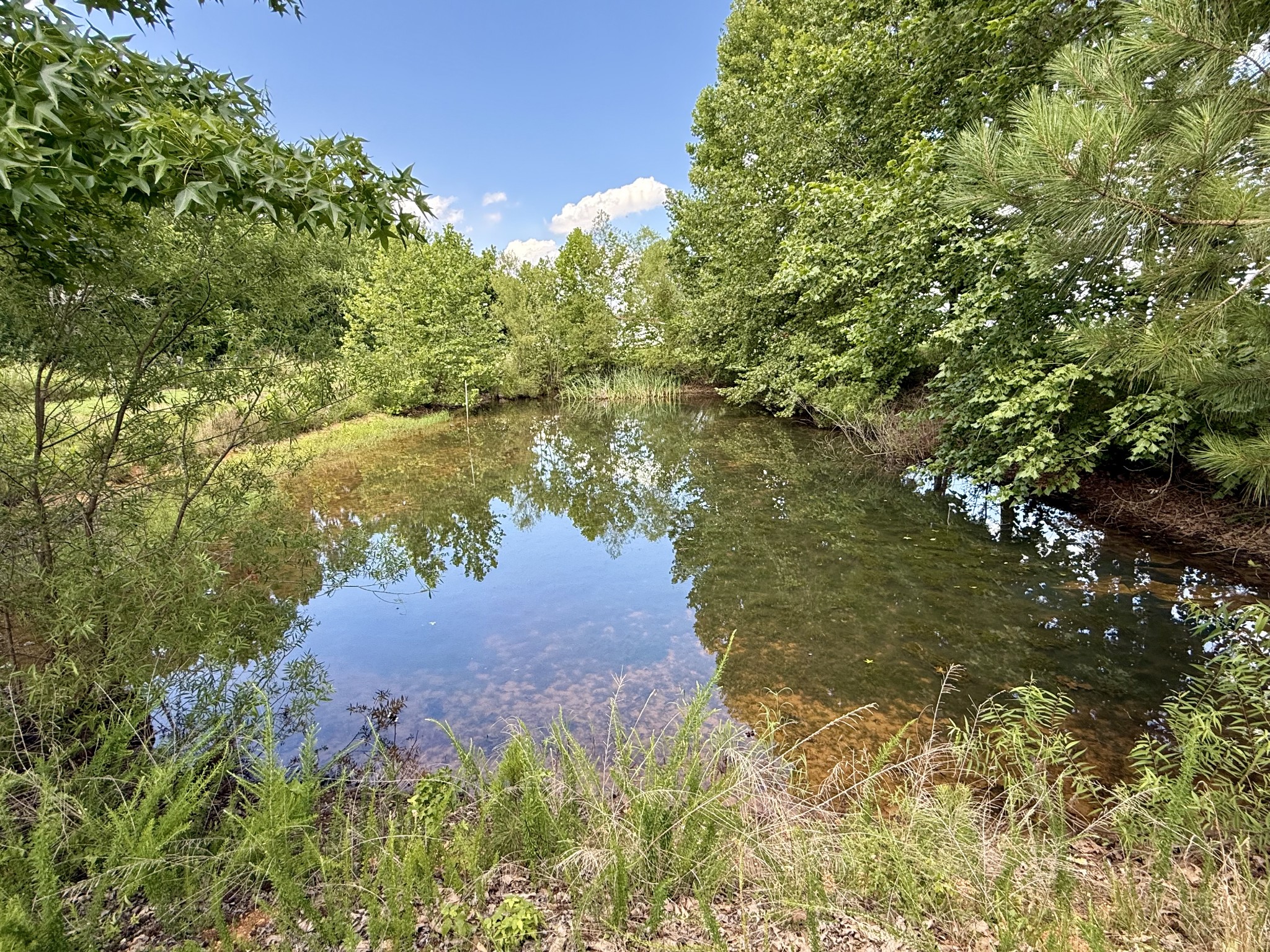 59 Hardin Loop Westpoint, TN 38486 - Photo 44 of 74
