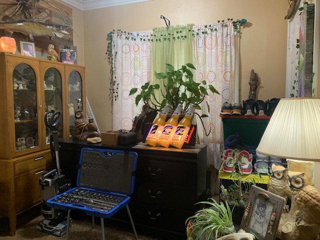 1013 Guion Street Ottawa, IL 61350 - Photo 9 of 26 a room with musical instruments