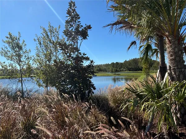 $2,200 | 17254 Ashe Juniper Lane, Land O Lakes, FL 34638
