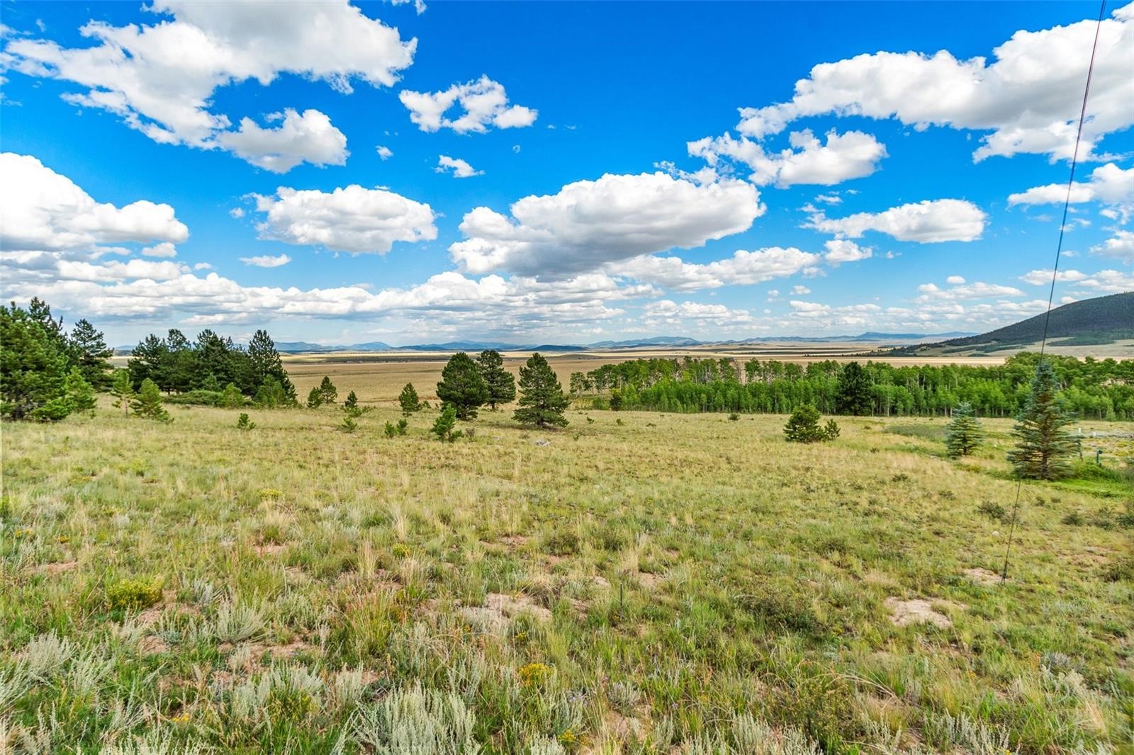 1327 Sheep Ridge Road Fairplay, CO 80440 - Photo 11 of 26 a view of a yard with an outdoor space