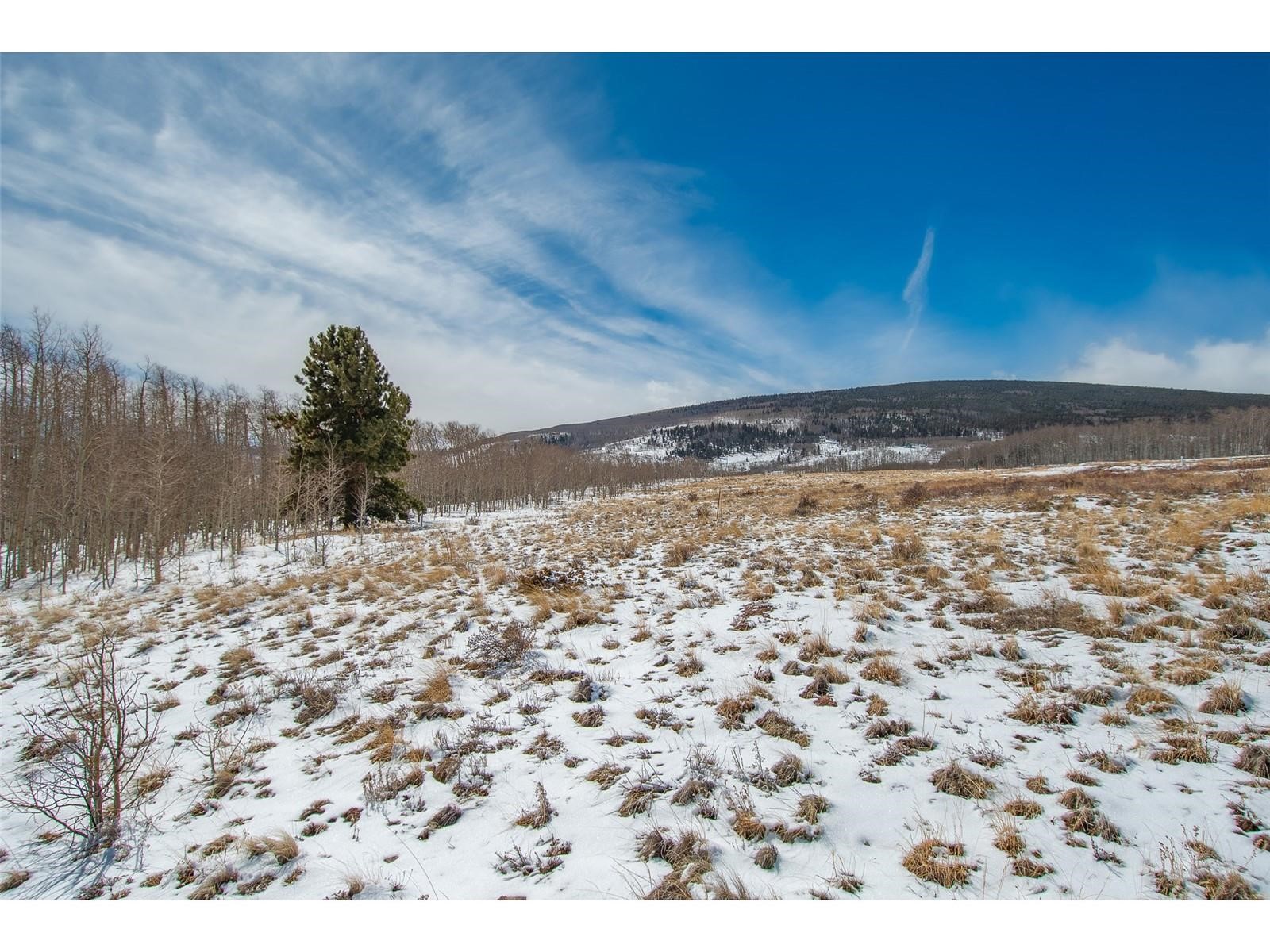 1327 Sheep Ridge Road Fairplay, CO 80440 - Photo 13 of 26