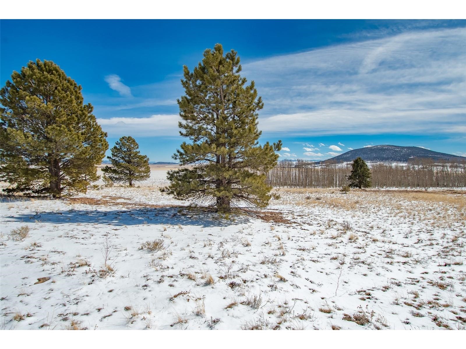 1327 Sheep Ridge Road Fairplay, CO 80440 - Photo 16 of 26 a view of a yard with wooden fence