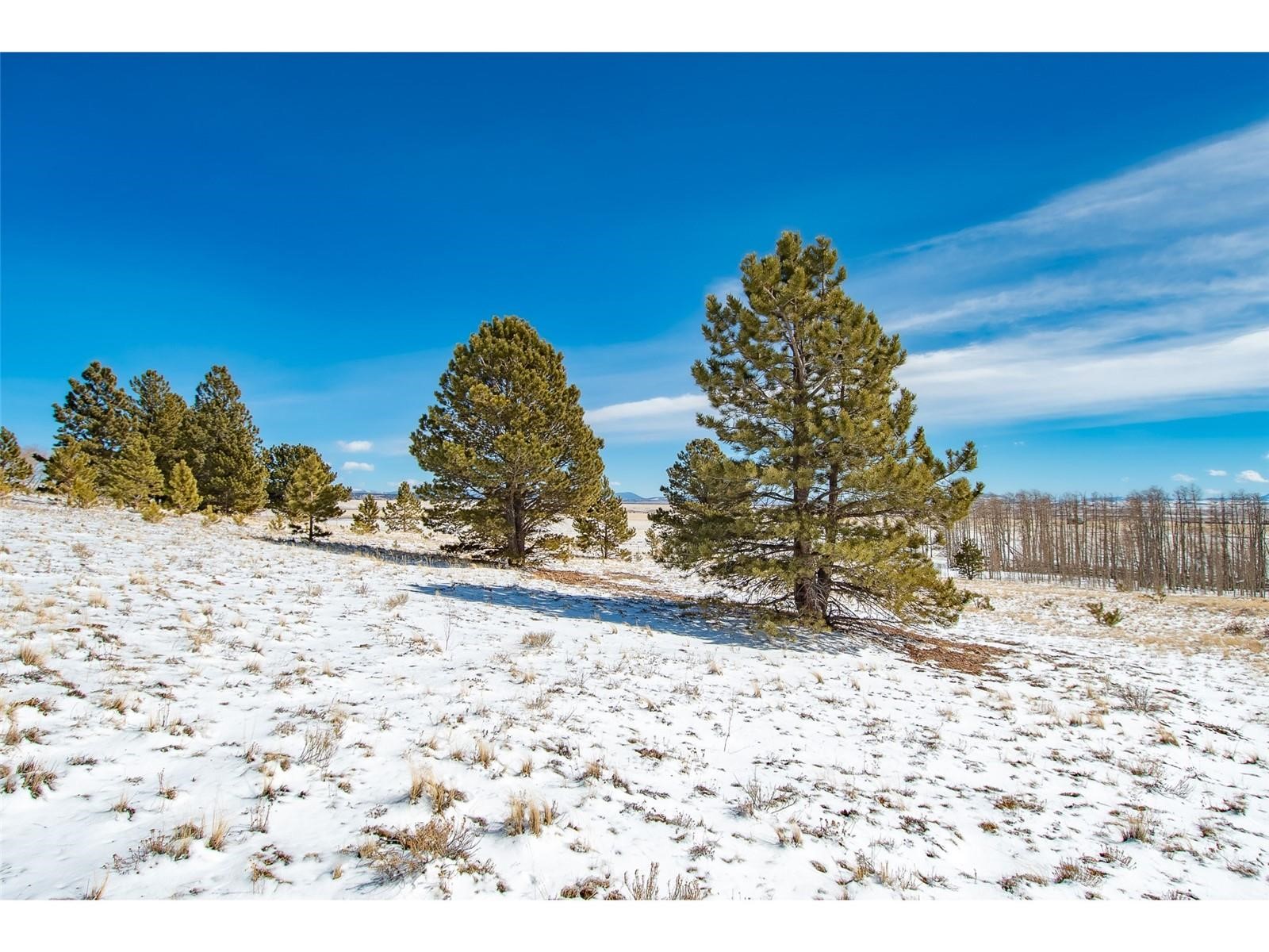 1327 Sheep Ridge Road Fairplay, CO 80440 - Photo 20 of 26 a view of outdoor space yard and street