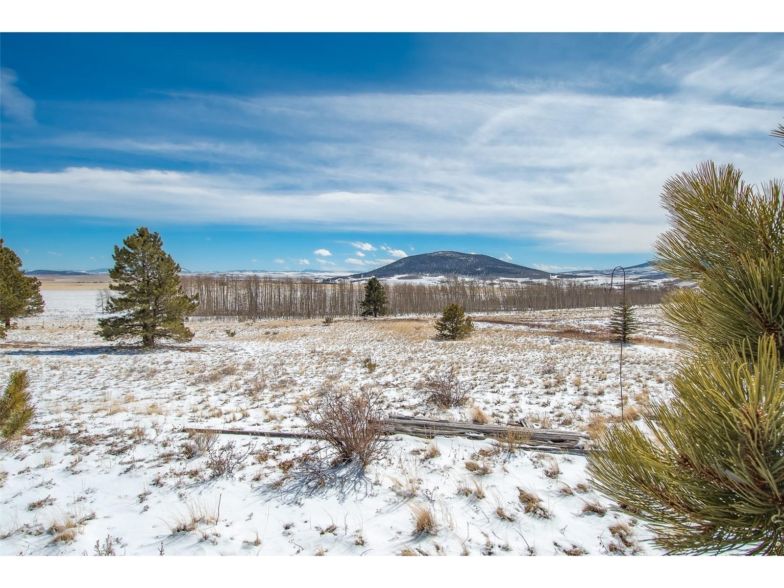 1327 Sheep Ridge Road Fairplay, CO 80440 - Photo 21 of 26 a view of a dry yard