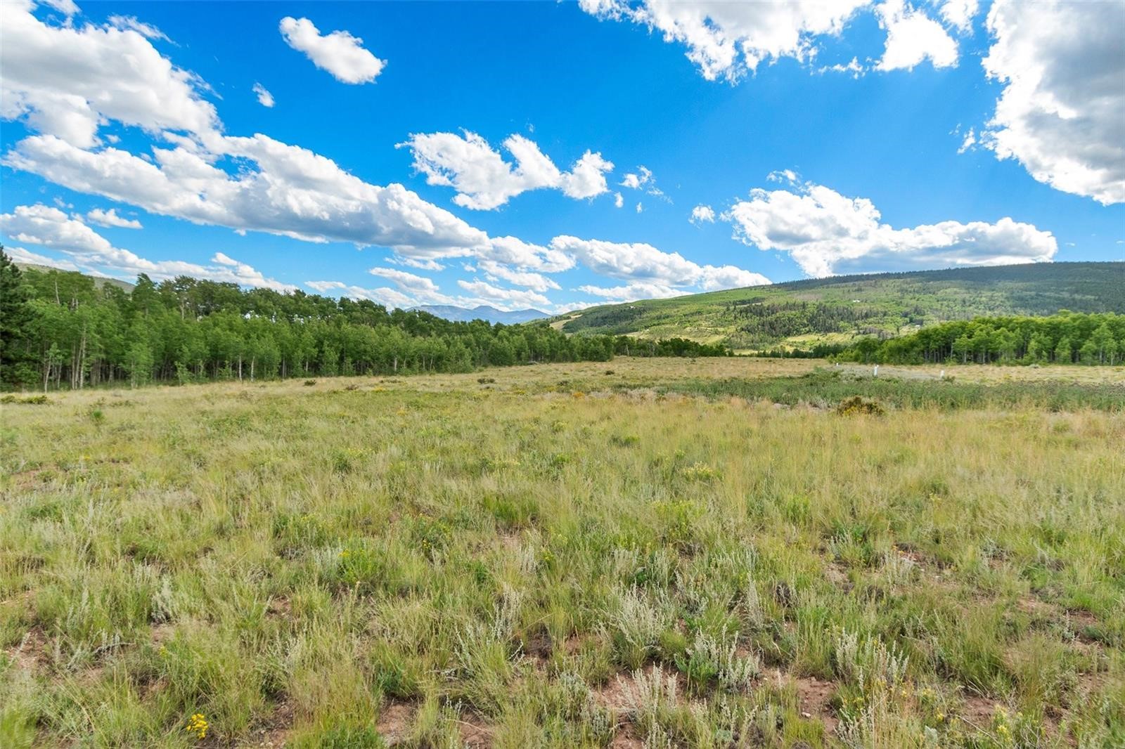 1327 Sheep Ridge Road Fairplay, CO 80440 - Photo 4 of 26 a view of a lake from a yard
