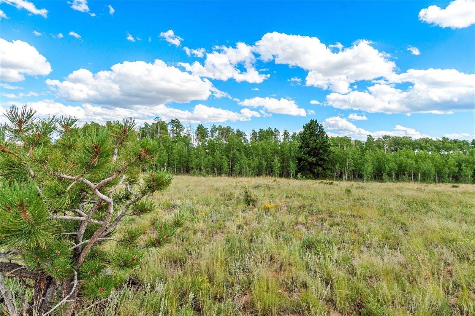 1327 Sheep Ridge Road Fairplay, CO 80440 - Photo 6 of 26 a view of a yard and basketball court