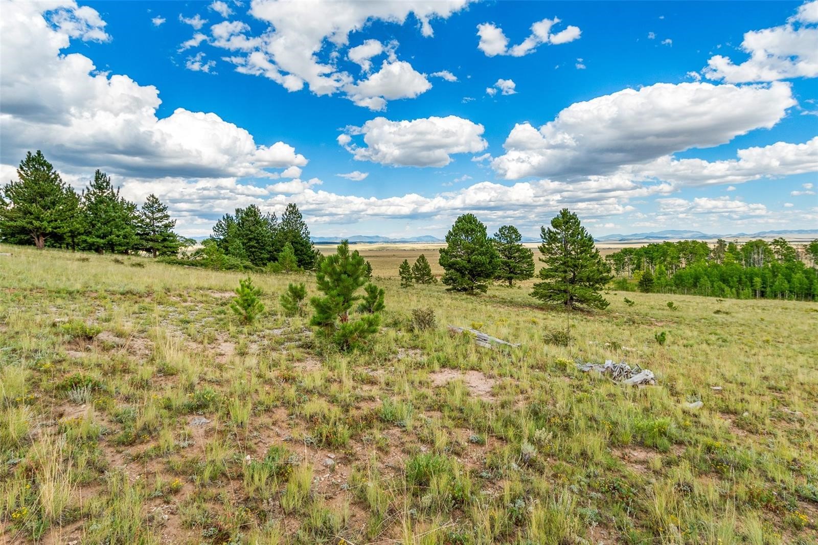 1327 Sheep Ridge Road Fairplay, CO 80440 - Photo 9 of 26 a view of a yard with an outdoor space
