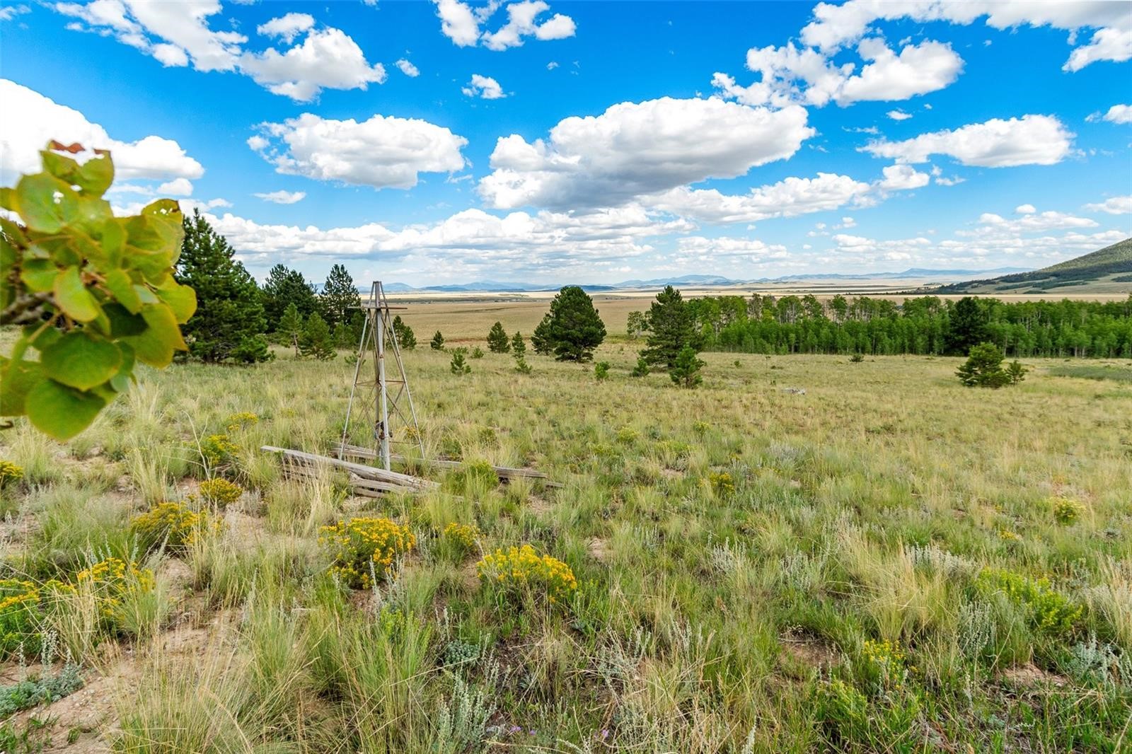 1327 Sheep Ridge Road Fairplay, CO 80440 - Photo 10 of 26 a view of an outdoor space and a yard