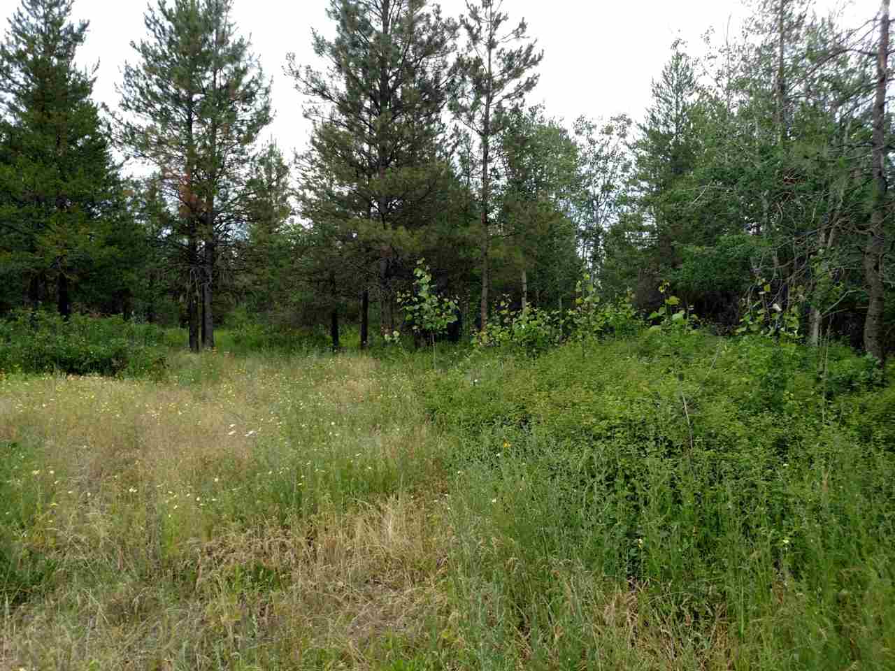5111 East Elk To Highway Road Elk, WA 99009 - Photo 11 of 17 Gallery Image 11