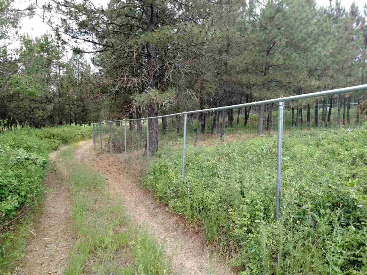 5111 East Elk To Highway Road Elk, WA 99009 - Photo 13 of 17 Gallery Image 13