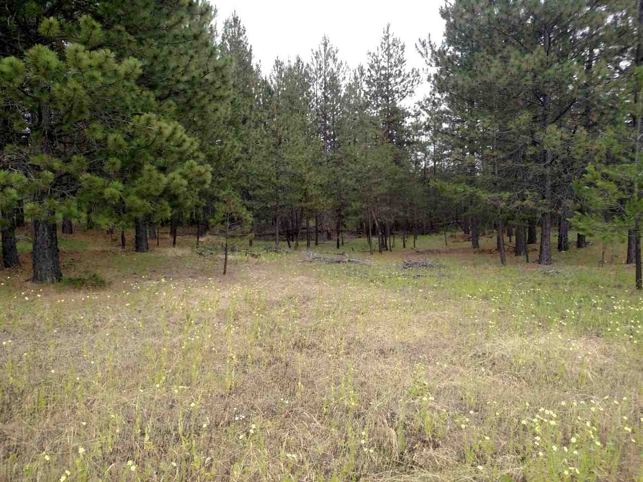 5111 East Elk To Highway Road Elk, WA 99009 - Photo 17 of 17 Gallery Image 17