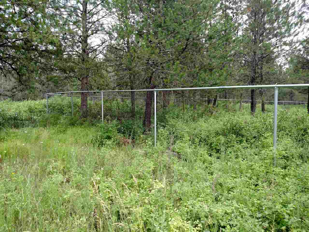 5111 East Elk To Highway Road Elk, WA 99009 - Photo 4 of 17 Gallery Image 4