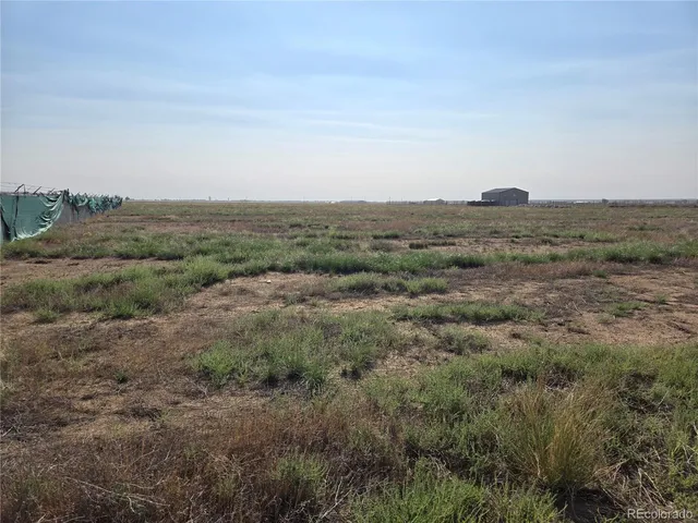 an aerial view of forest