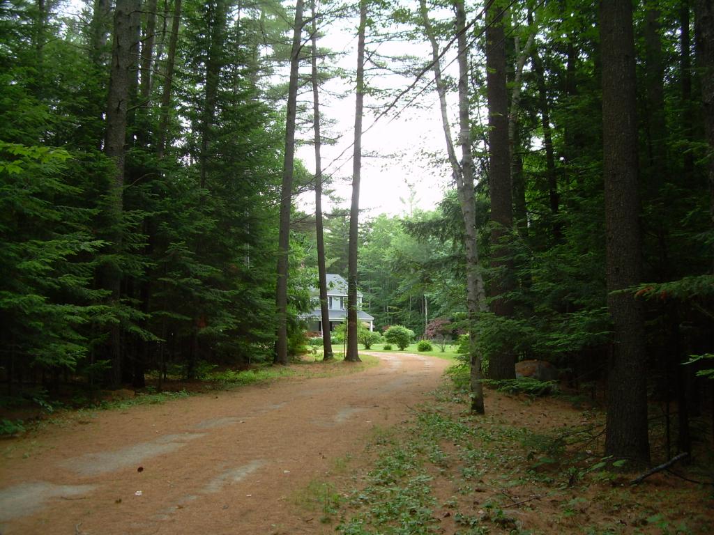 707 North Road Shelburne, NH 03581 - Photo 5 of 36