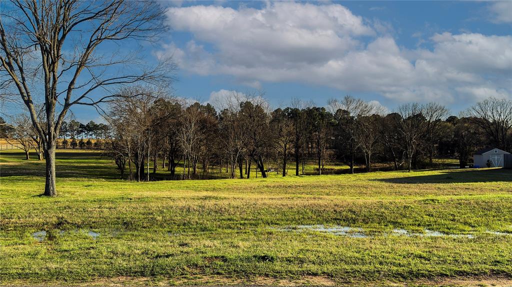 5455 Saddle Ridge Court Athens, TX 75752 - Photo 10 of 25 View of local wilderness