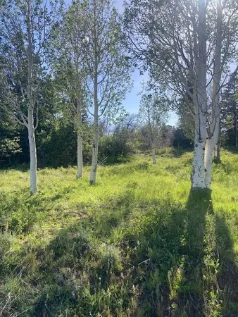 $119,000 | 271 North Whispering Pines Road, Unit 21, Springdale, UT 84767