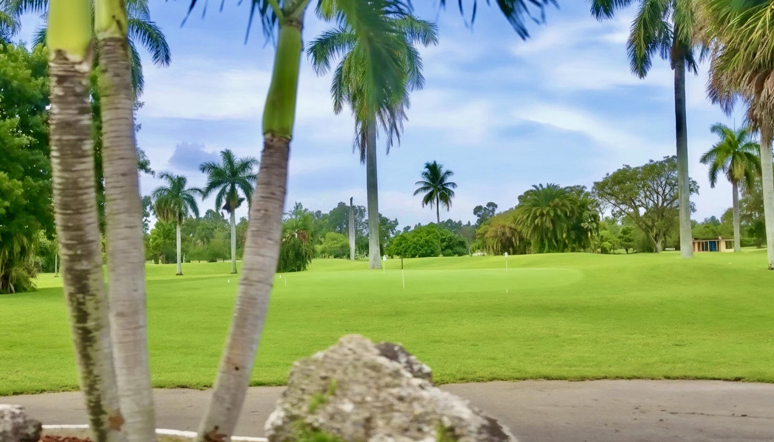 3341 State Street Hollywood, FL 33021 - Photo 13 of 17 freepik__put-this-image-in-high-resoluti