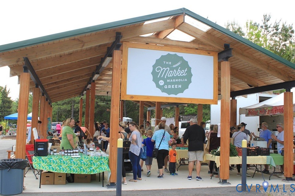 18767 Palisades Ridge Moseley, VA 23120 - Photo 36 of 36