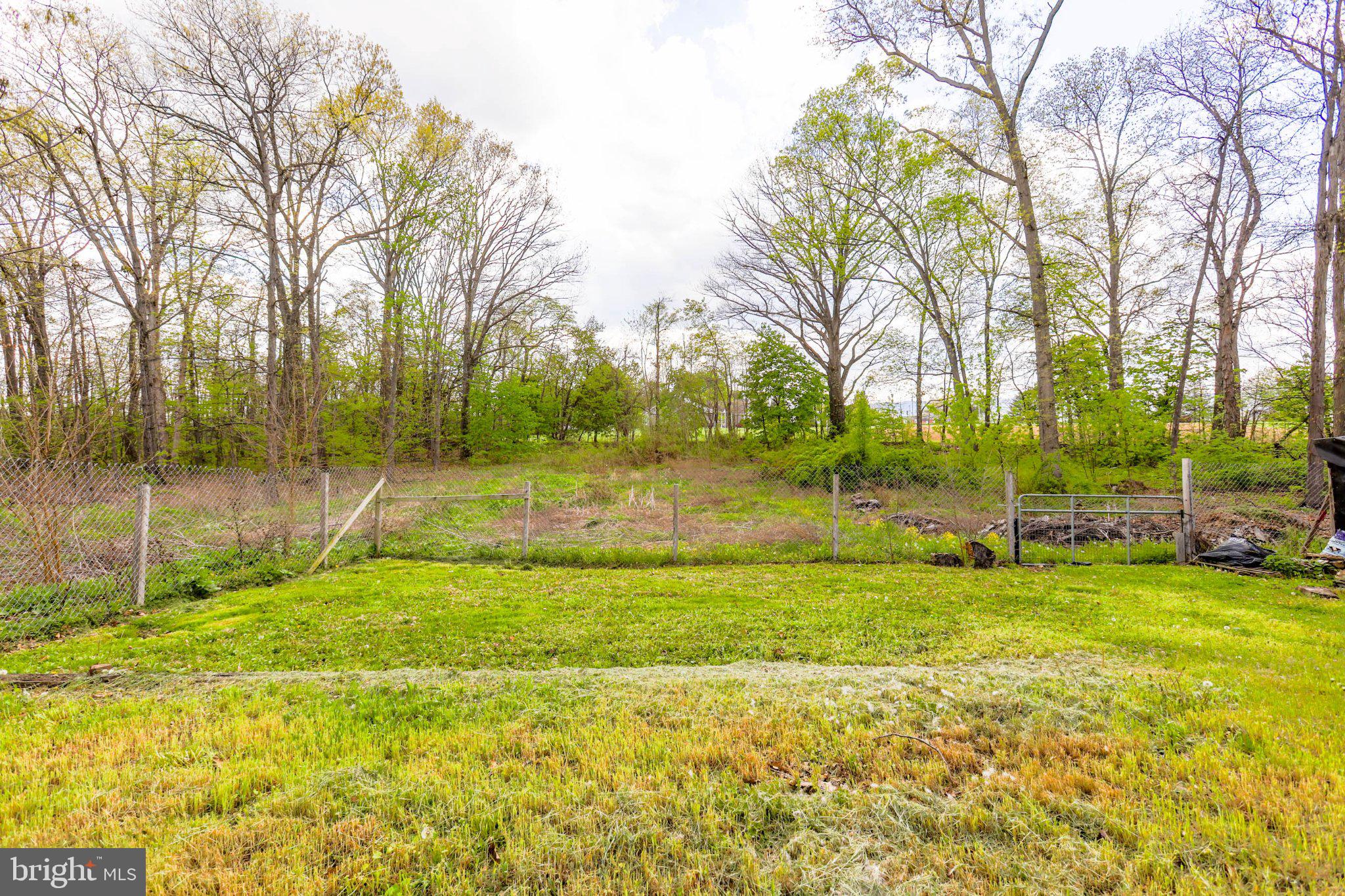 11661 Tanyard Hill Road Orrstown, PA 17244 - Photo 7 of 26 a view of a field with trees in the background