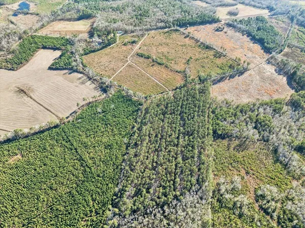 $375,000 | Tbd Witherspoon Street, Lake City, SC 29560