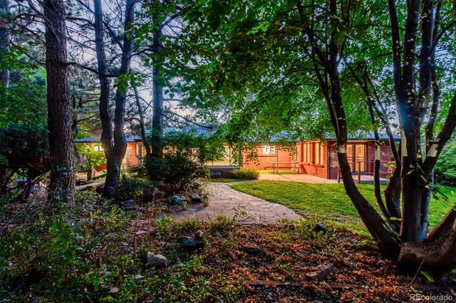 a view of a backyard with large trees and plants