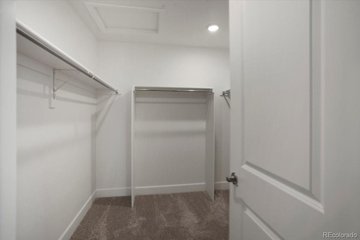 8364 Mount Ouray Road Littleton, CO 80125 - Photo 24 of 40 Gallery Image 24