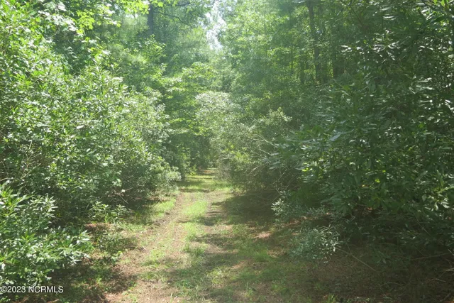 $47,500 | Lot 1 Port Drive, Oriental, NC 28571