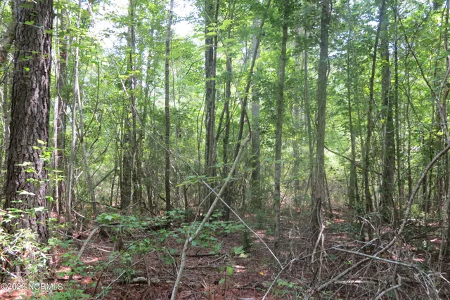 $47,500 | Lot 1 Port Drive, Oriental, NC 28571