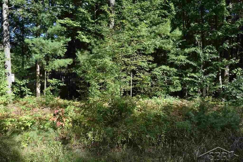North W River Road Sanford, MI 48657 - Photo 3 of 5