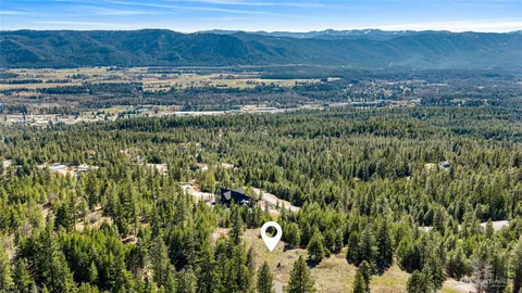 a view of a lush green forest with trees and some houses