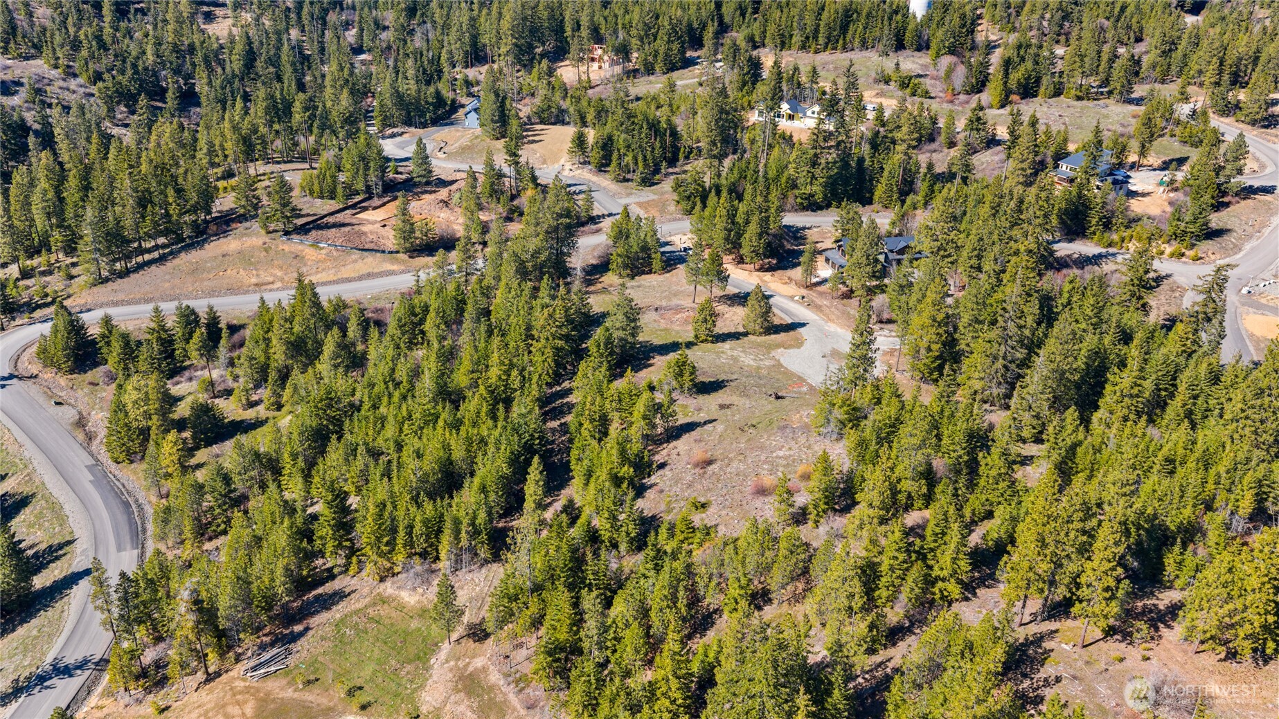 81 Forest Ridge Drive Cle Elum, WA 98922 - Photo 16 of 28 a view of a garden with plants