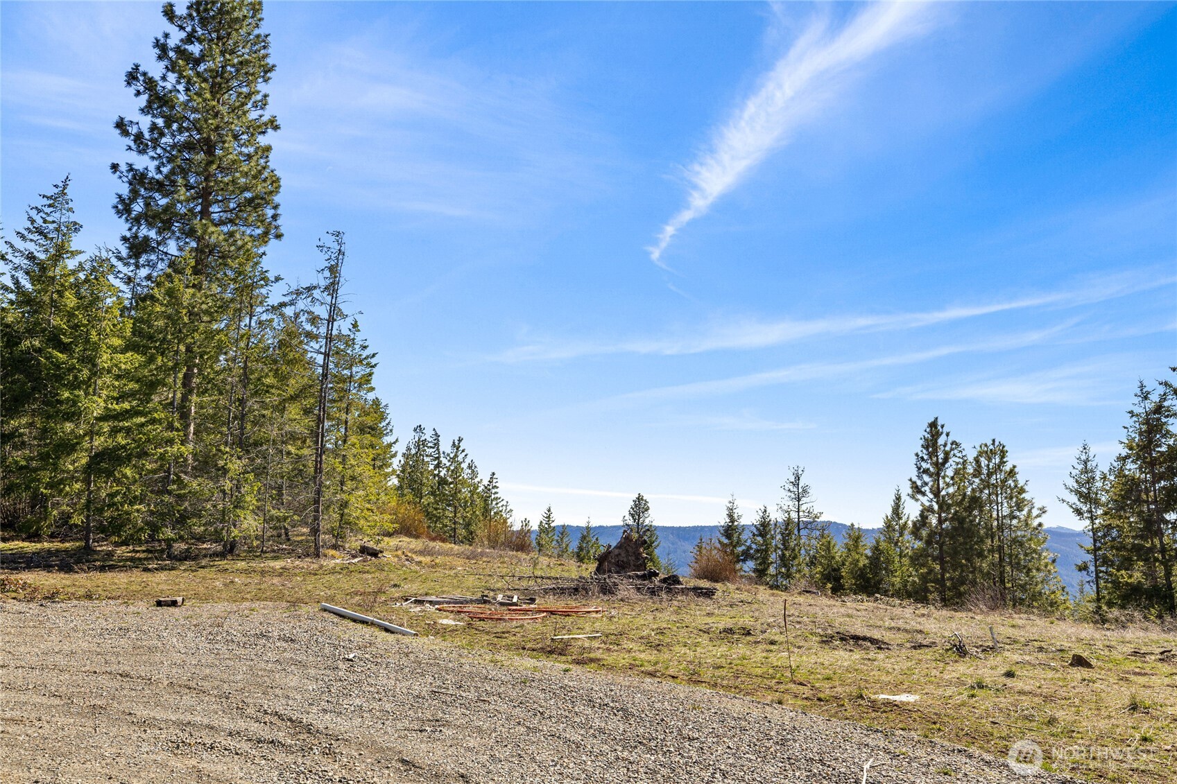 81 Forest Ridge Drive Cle Elum, WA 98922 - Photo 2 of 28 a view of ocean