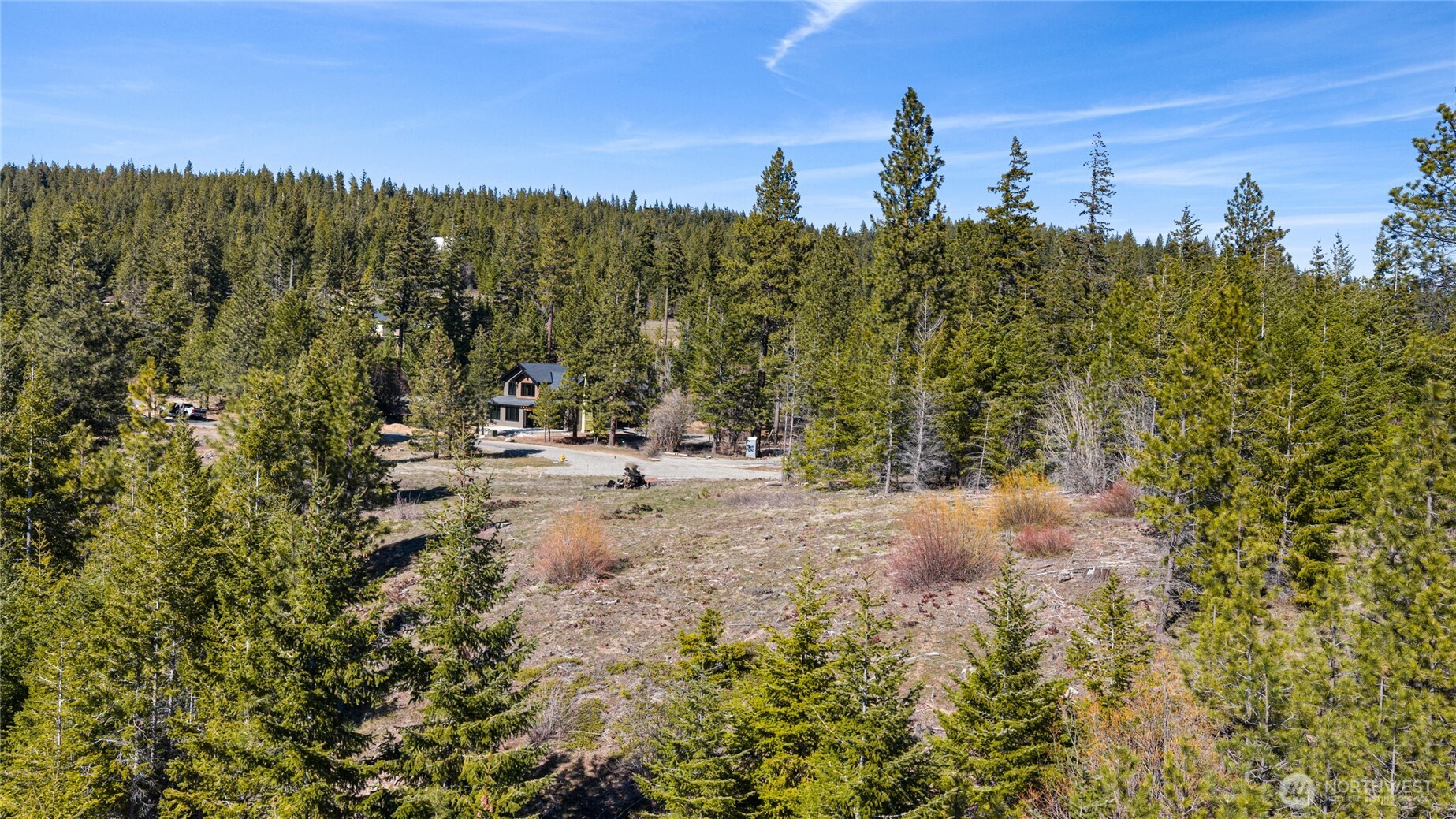 81 Forest Ridge Drive Cle Elum, WA 98922 - Photo 21 of 28 a view of a field with trees in the background
