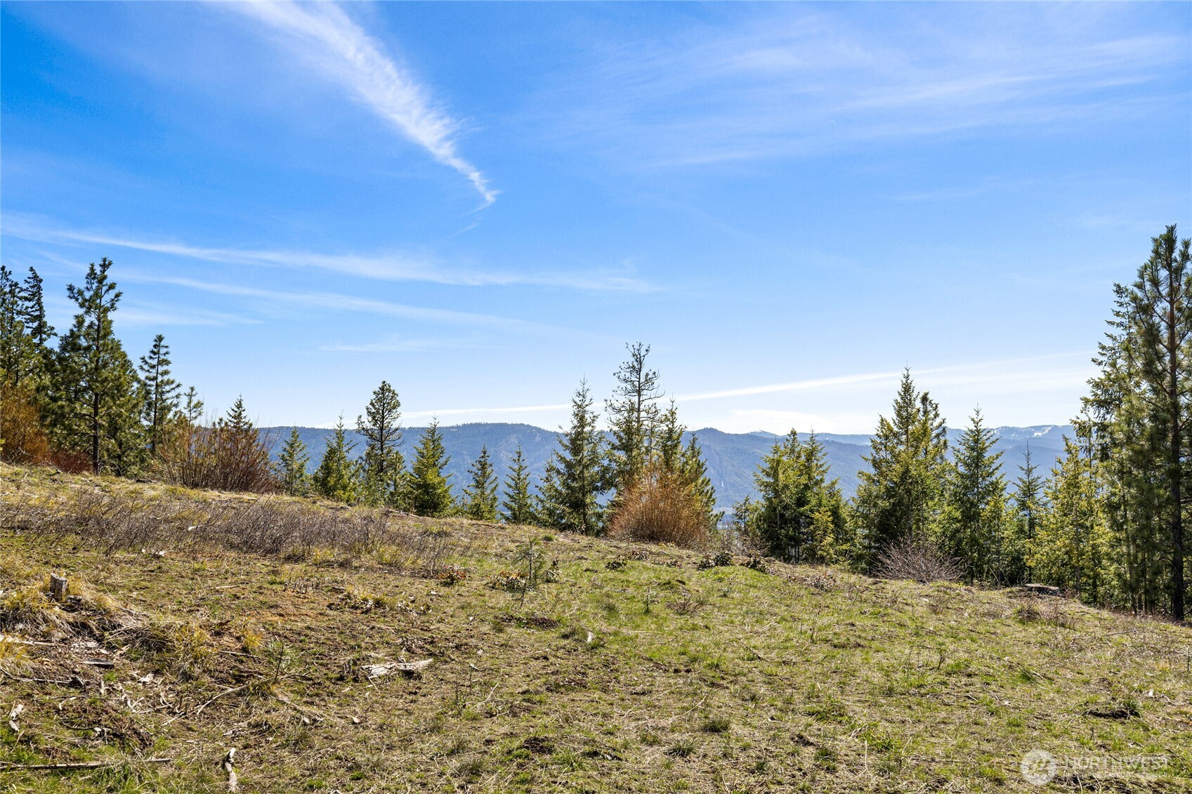 81 Forest Ridge Drive Cle Elum, WA 98922 - Photo 3 of 28 a view of a dirt road with a building in the background