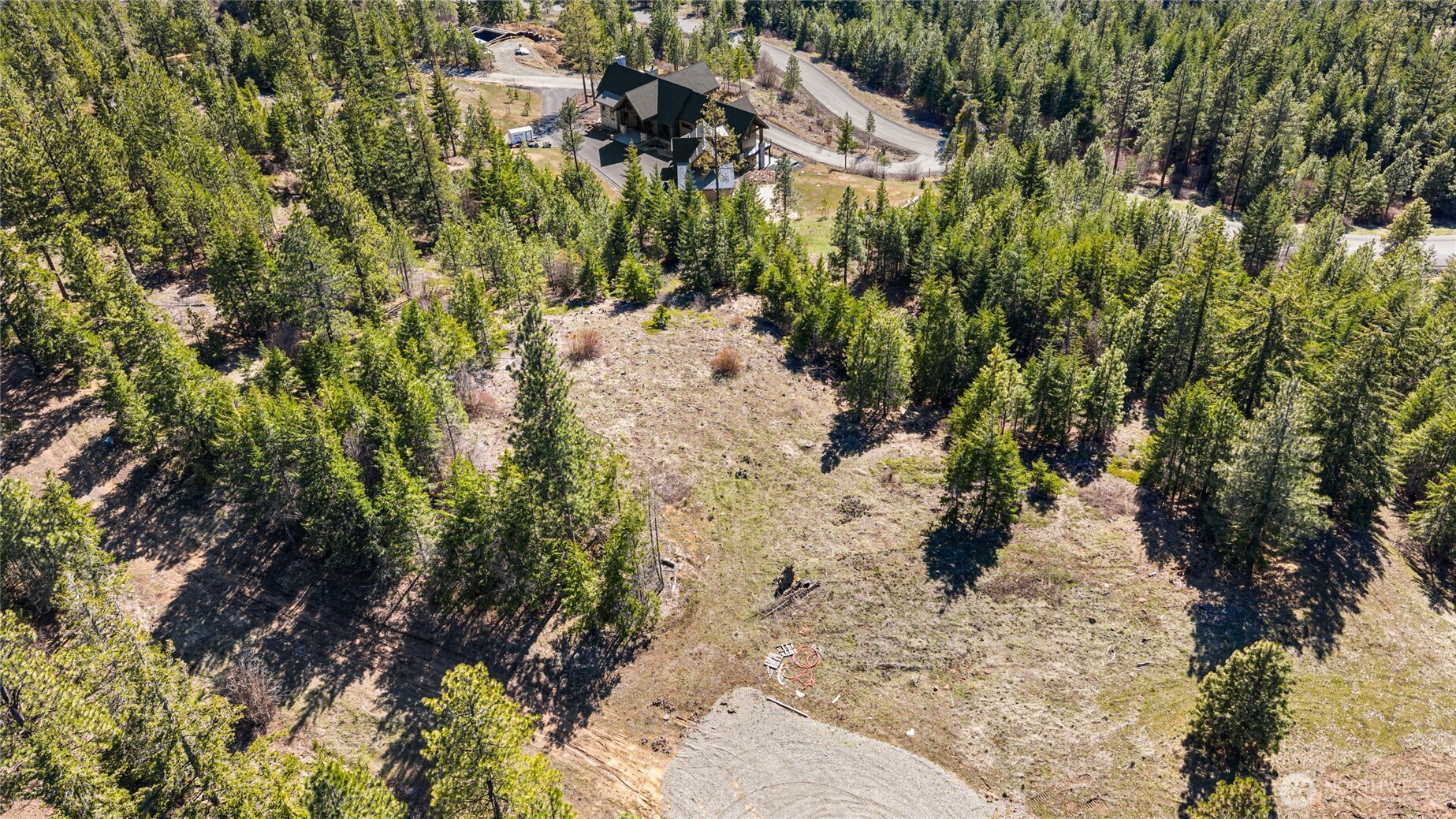 81 Forest Ridge Drive Cle Elum, WA 98922 - Photo 9 of 28 a view of a yard with plants and large trees