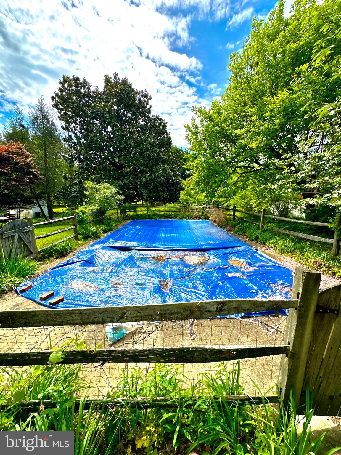 116 Main Street Townsend, DE 19734 - Photo 12 of 68 a view of an outdoor space