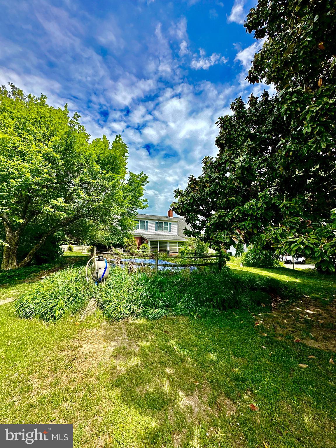 116 Main Street Townsend, DE 19734 - Photo 14 of 68 a view of a big yard with large trees
