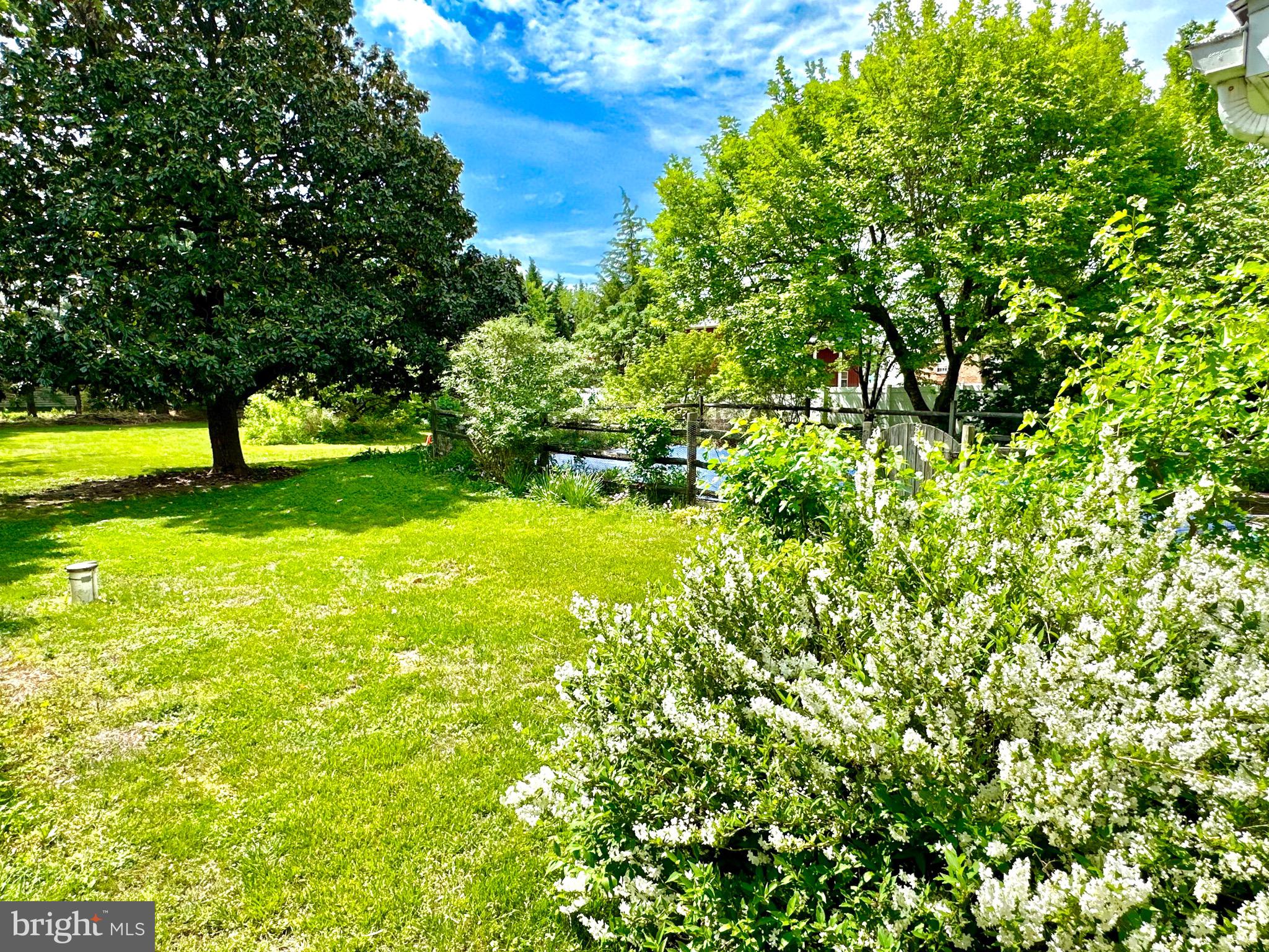 116 Main Street Townsend, DE 19734 - Photo 19 of 68 a view of yard with large trees