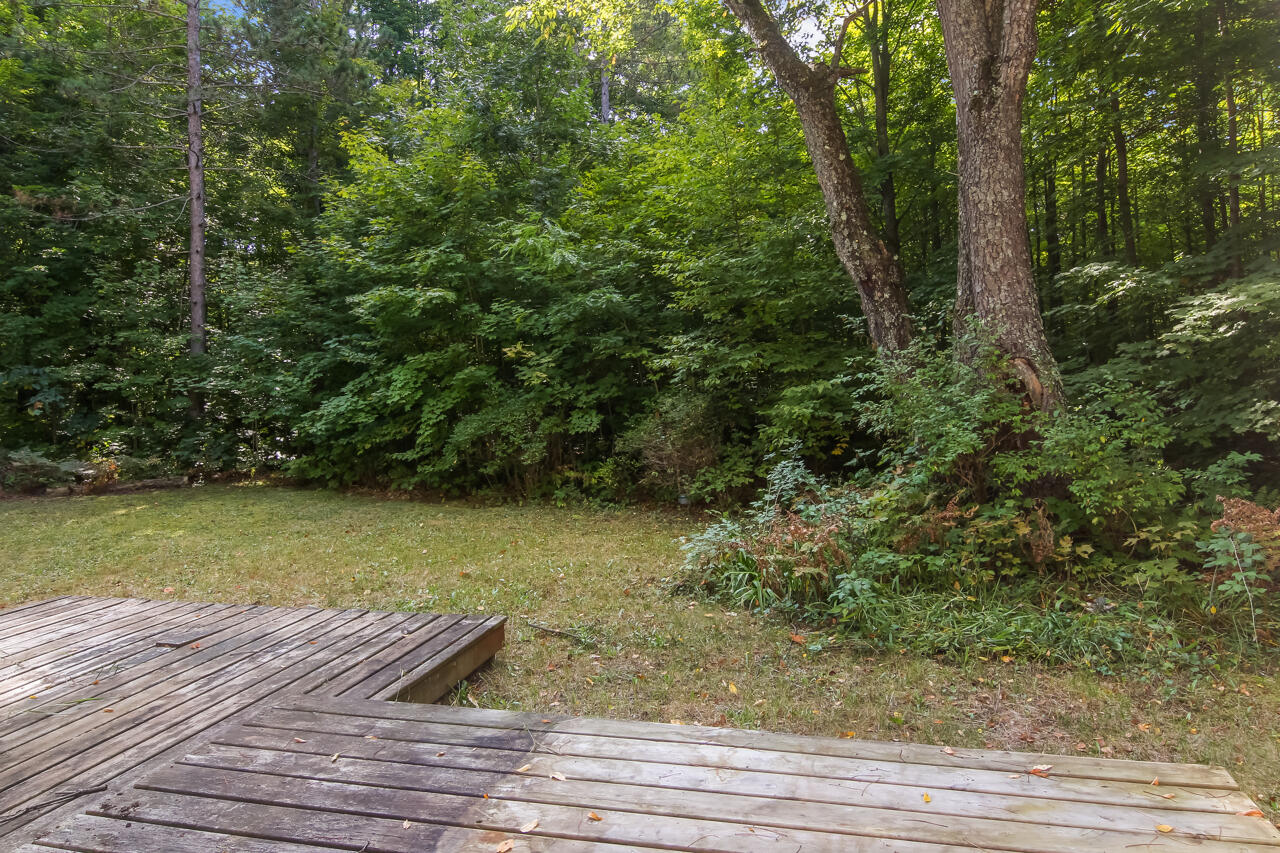 14139 Cinder Road Beulah, MI 49617 - Photo 32 of 43 43-Scene-43