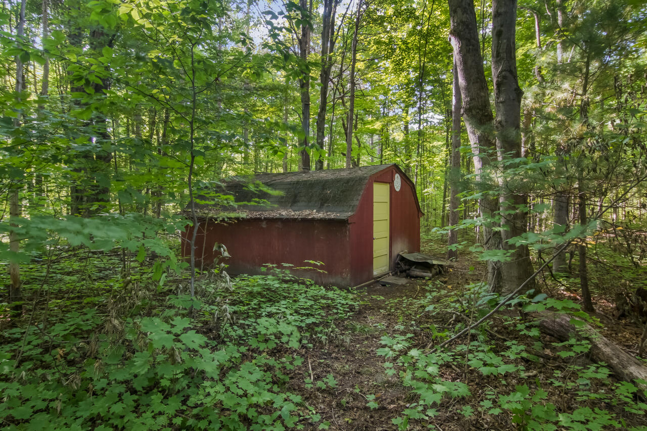 14139 Cinder Road Beulah, MI 49617 - Photo 36 of 43 33-Scene-33
