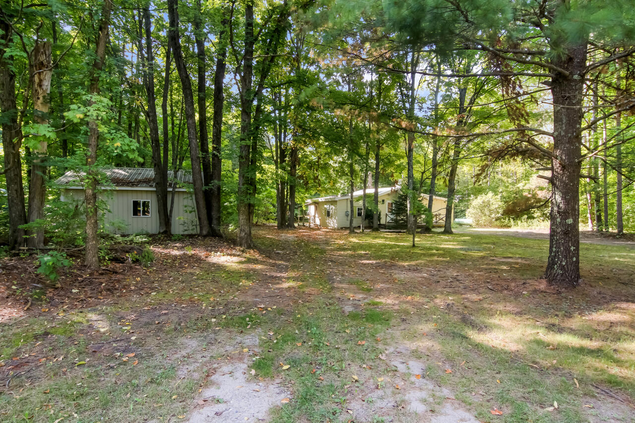 14139 Cinder Road Beulah, MI 49617 - Photo 42 of 43 41-Scene-41