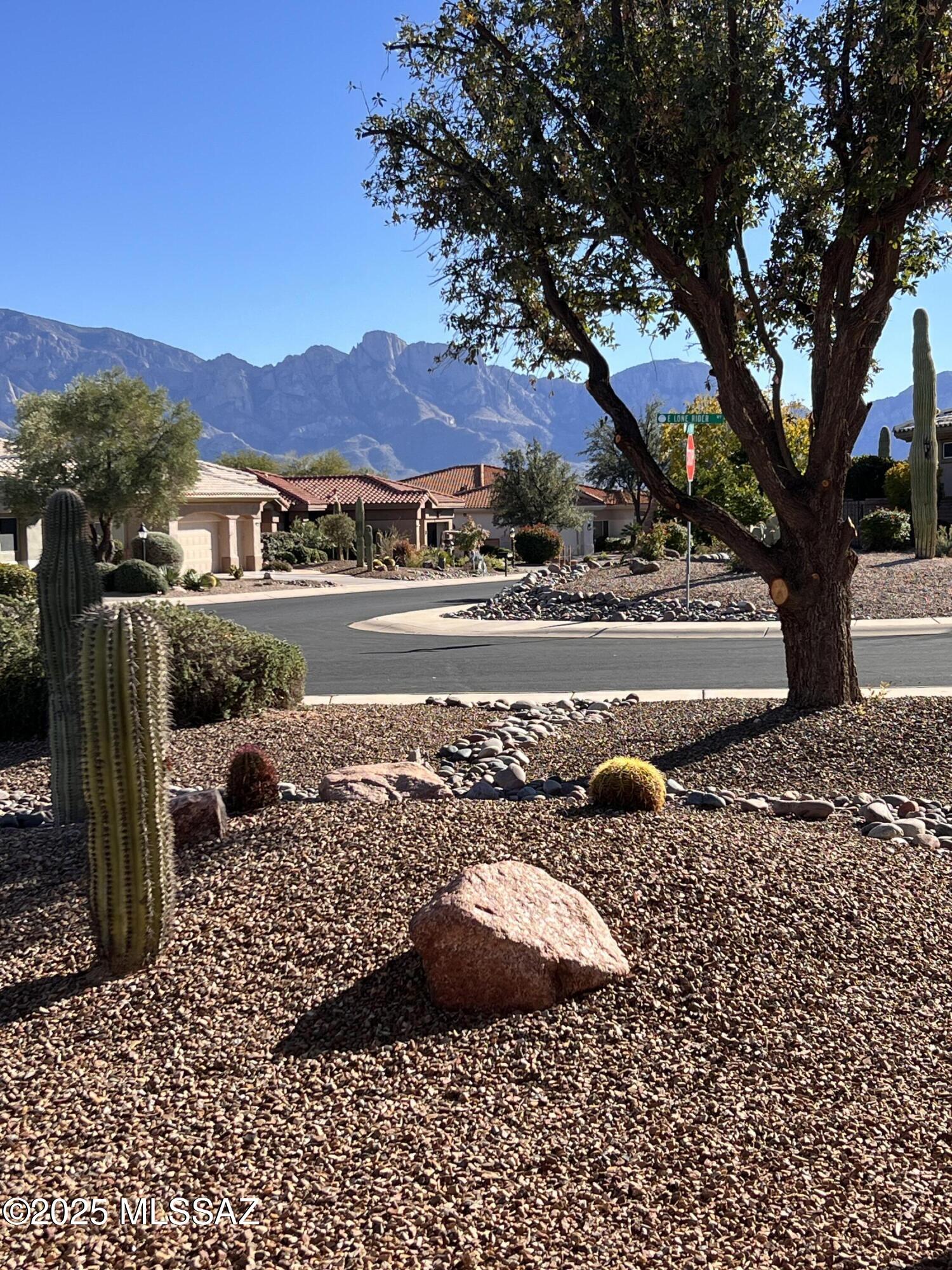 1851 East Lone Rider Way Tucson, AZ 85755 - Photo 4 of 50