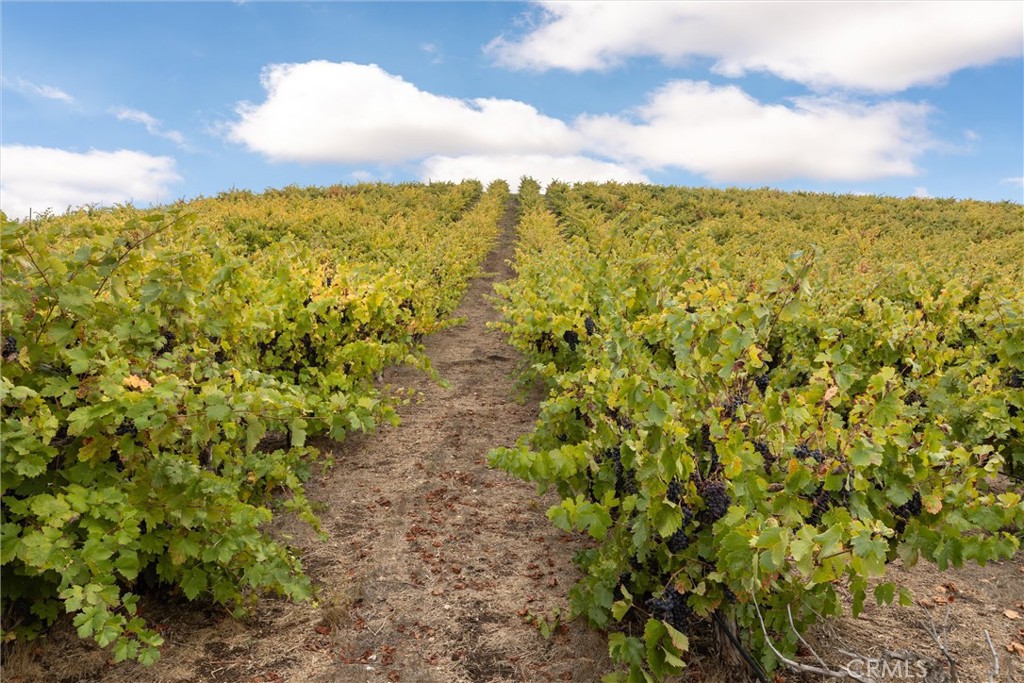 3000 Oakdale Road Paso Robles, CA 93446 - Photo 17 of 26 a view of an outdoor space and mountain view