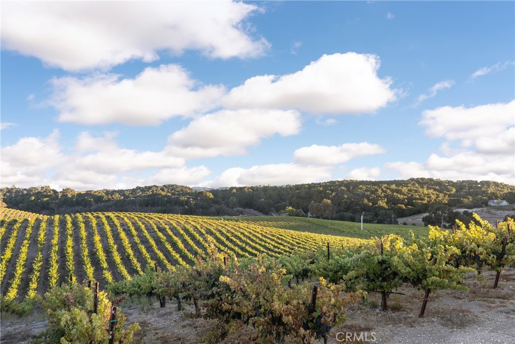 3000 Oakdale Road Paso Robles, CA 93446 - Photo 21 of 26 a view of a lake with a big yard