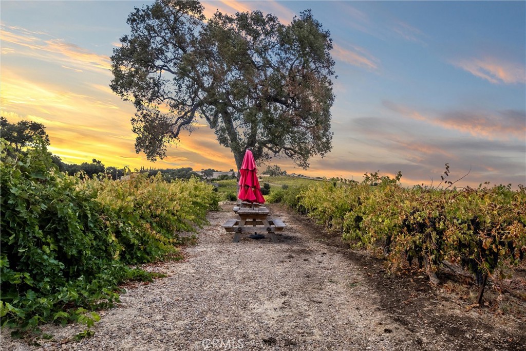 3000 Oakdale Road Paso Robles, CA 93446 - Photo 4 of 26 a view of a pathway with a tree in the background