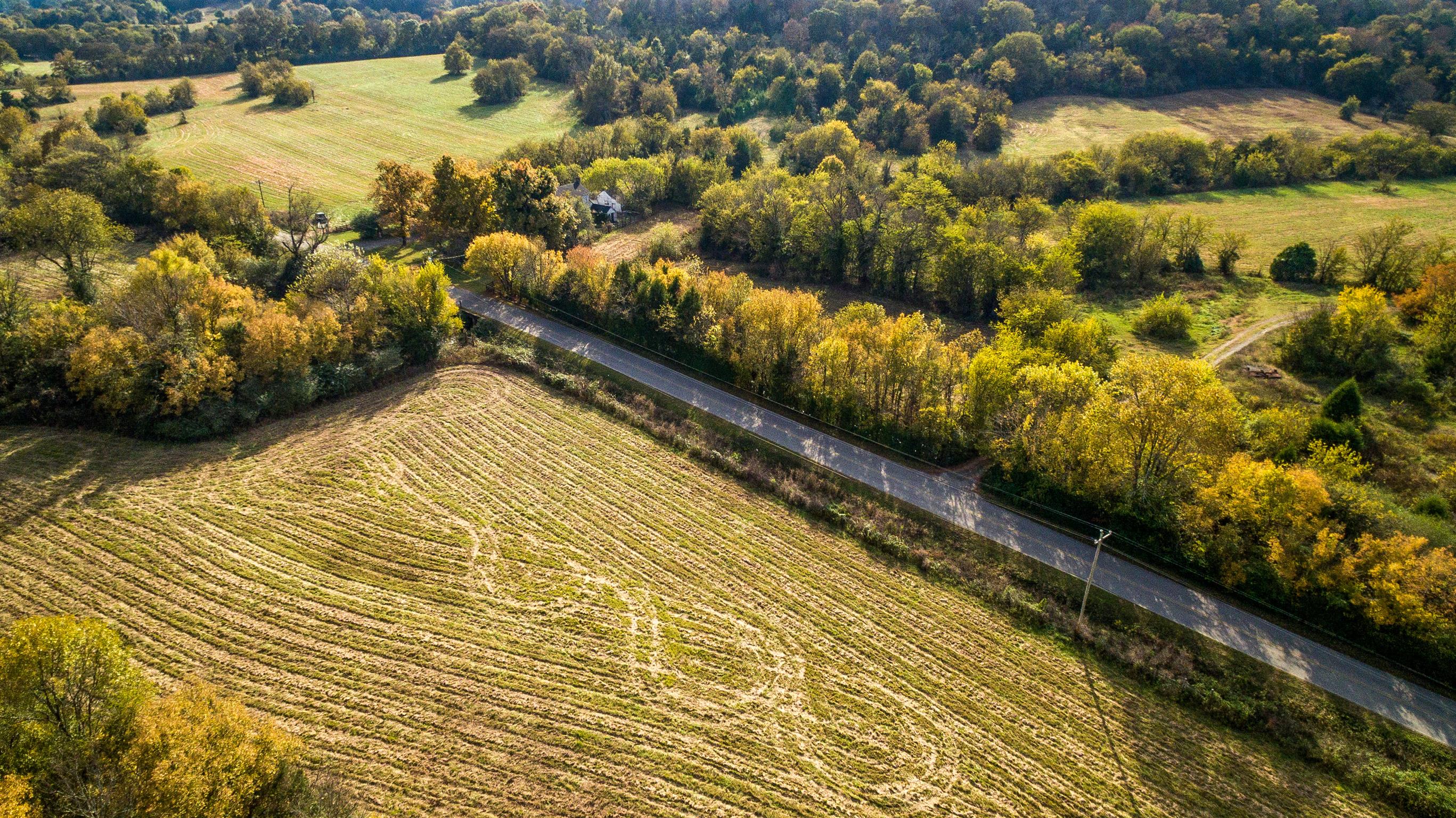 247 Buckeye Loop Lynchburg, TN 37352 - Photo 2 of 21 a view of an outdoor space and swimming pool