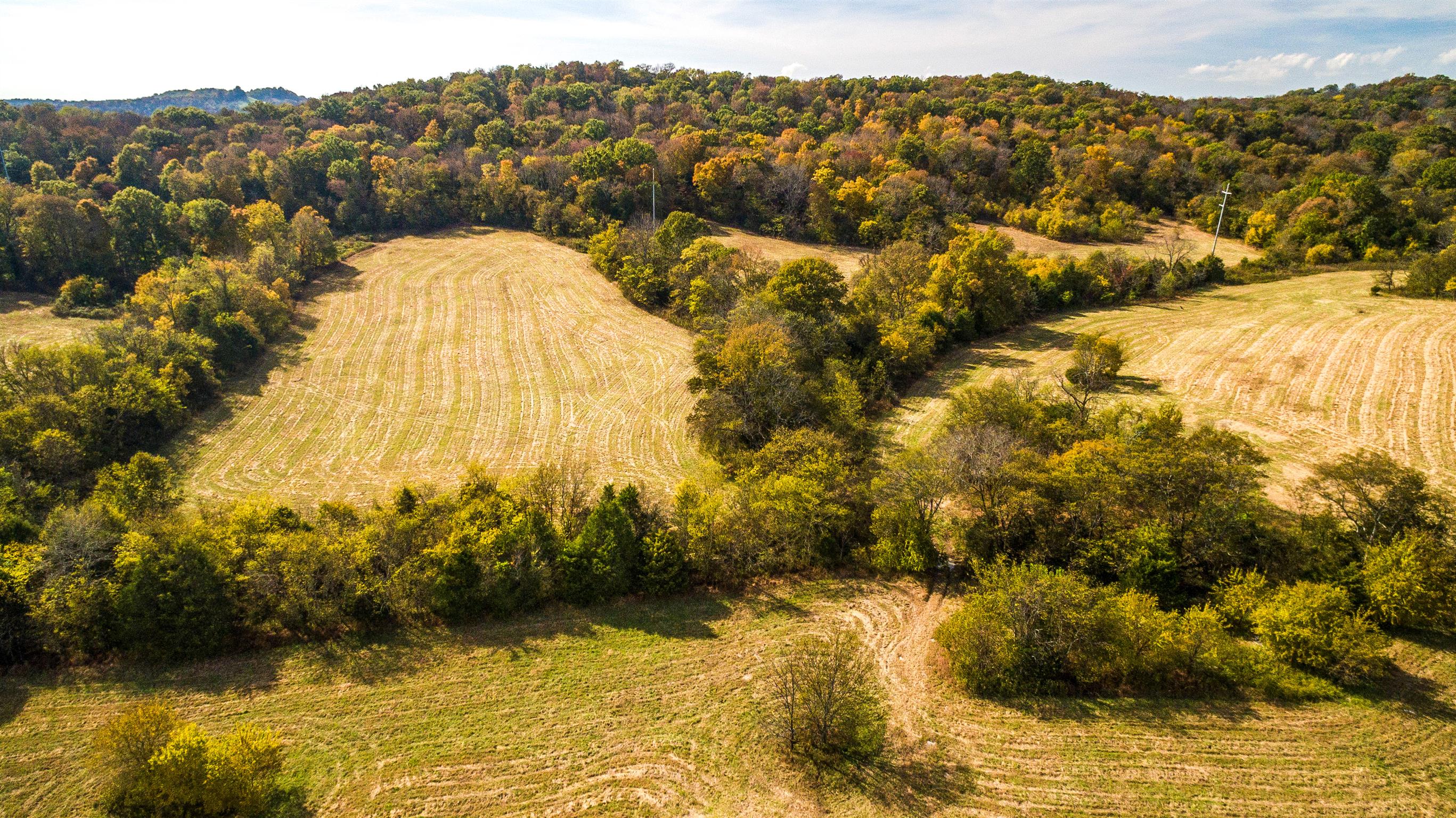 247 Buckeye Loop Lynchburg, TN 37352 - Photo 11 of 21 a view of lake