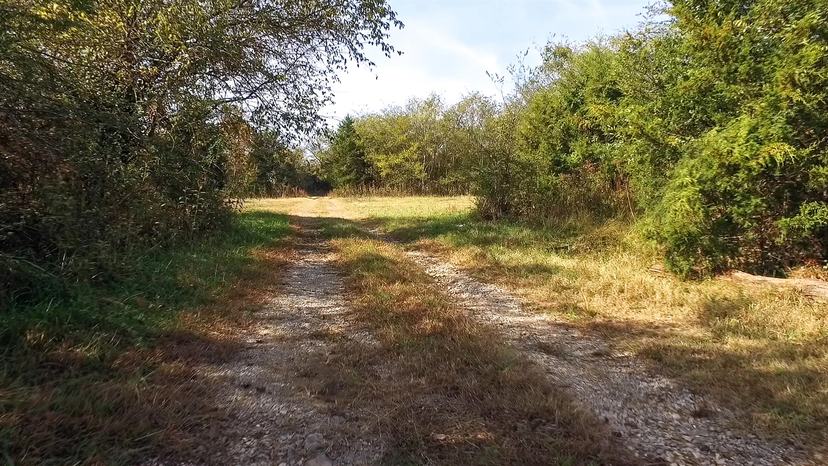 247 Buckeye Loop Lynchburg, TN 37352 - Photo 12 of 21 a view of mountain view with trees in the background