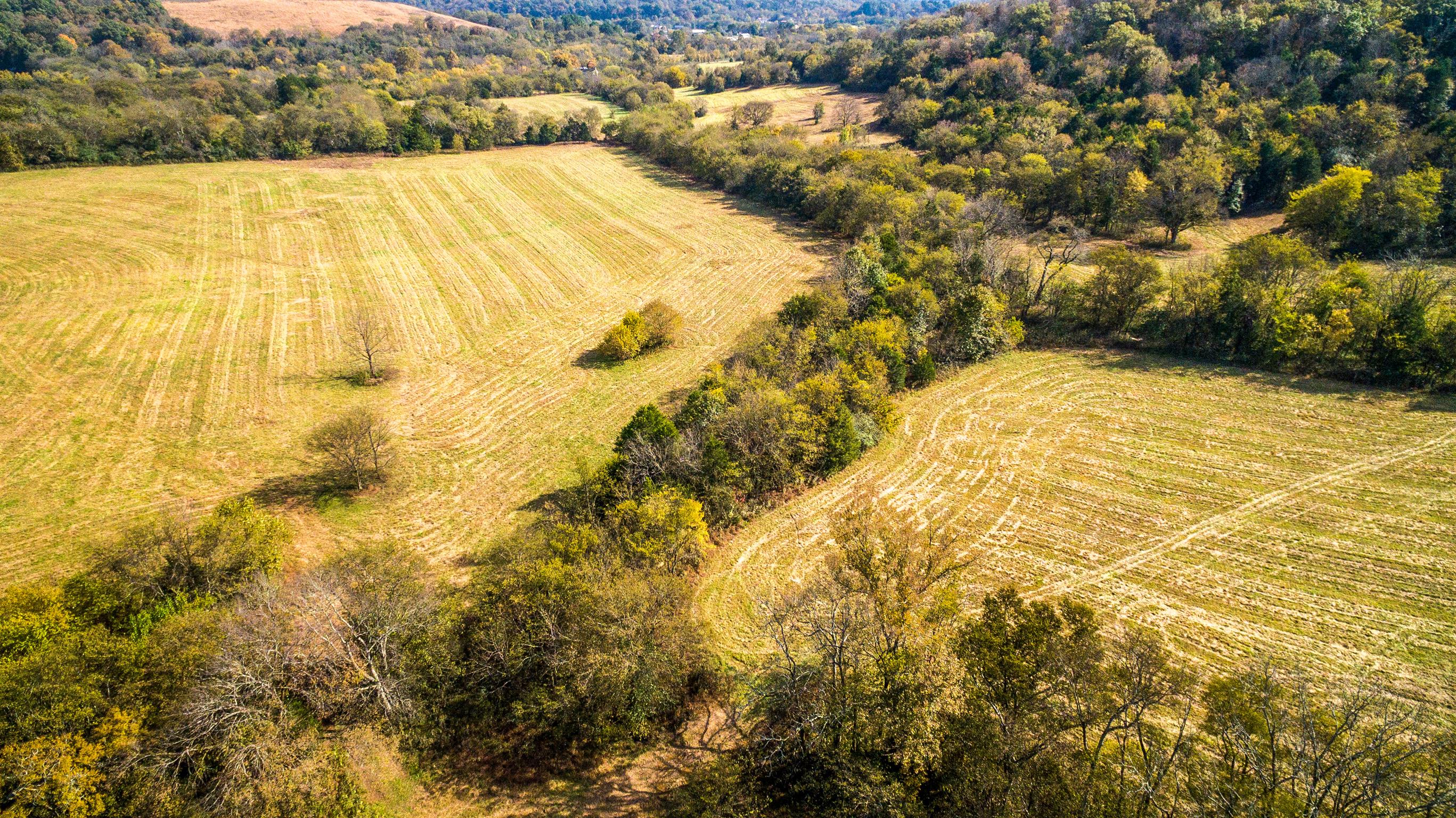 247 Buckeye Loop Lynchburg, TN 37352 - Photo 13 of 21 a view of a swimming pool and an outdoor space