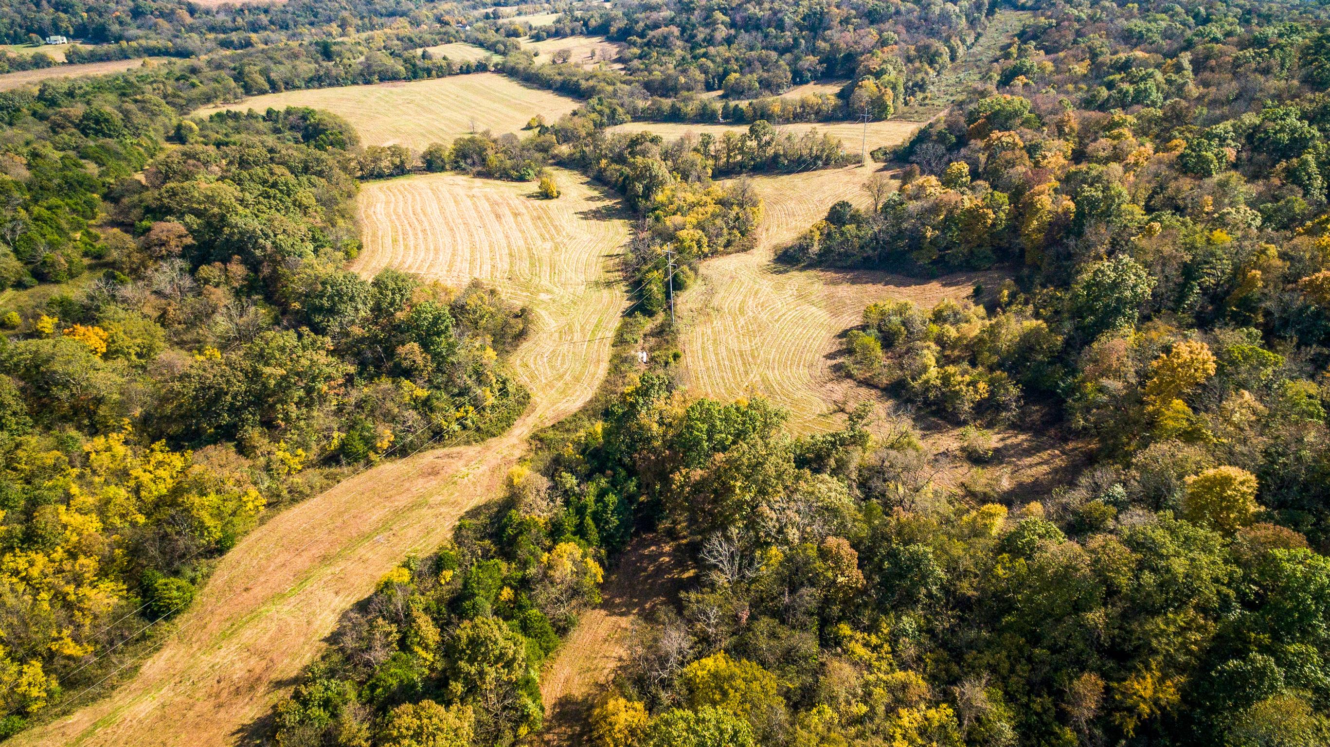 247 Buckeye Loop Lynchburg, TN 37352 - Photo 14 of 21 a view of lake